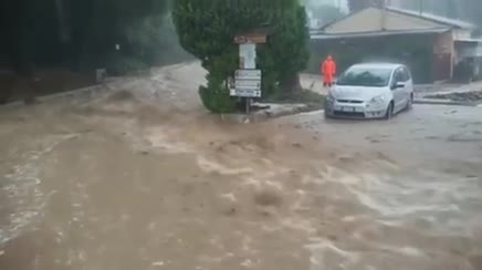 I fossi e lo stagno di Baratti (Piombino - LI)